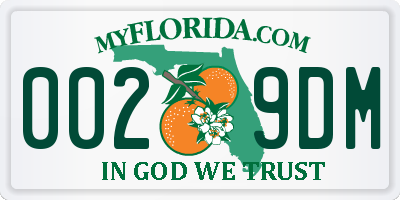 FL license plate 0029DM