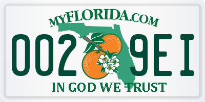 FL license plate 0029EI