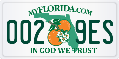 FL license plate 0029ES