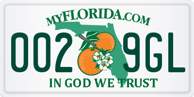 FL license plate 0029GL