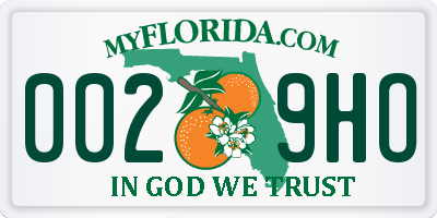 FL license plate 0029HO