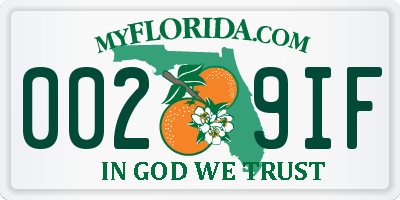 FL license plate 0029IF