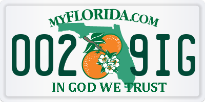 FL license plate 0029IG