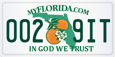 FL license plate 0029IT