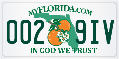FL license plate 0029IV