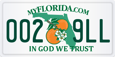 FL license plate 0029LL