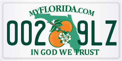 FL license plate 0029LZ