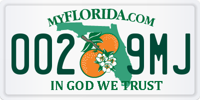 FL license plate 0029MJ