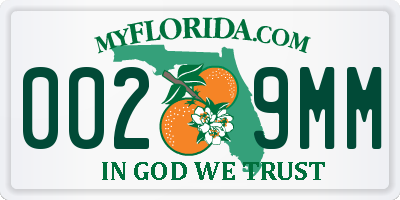 FL license plate 0029MM