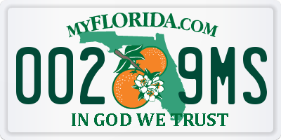 FL license plate 0029MS