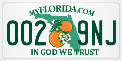 FL license plate 0029NJ