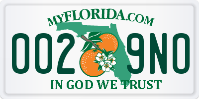 FL license plate 0029NO