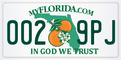 FL license plate 0029PJ
