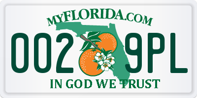 FL license plate 0029PL