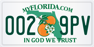FL license plate 0029PV
