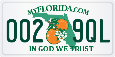 FL license plate 0029QL