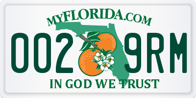 FL license plate 0029RM