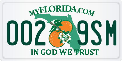 FL license plate 0029SM