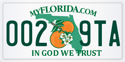 FL license plate 0029TA