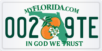 FL license plate 0029TE