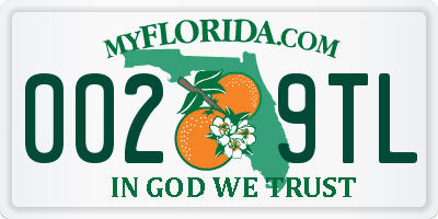 FL license plate 0029TL