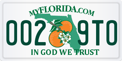 FL license plate 0029TO