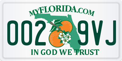 FL license plate 0029VJ