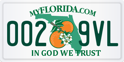 FL license plate 0029VL