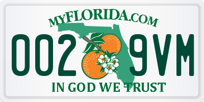 FL license plate 0029VM