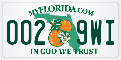 FL license plate 0029WI