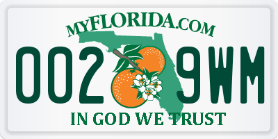 FL license plate 0029WM