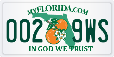 FL license plate 0029WS