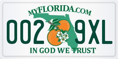 FL license plate 0029XL