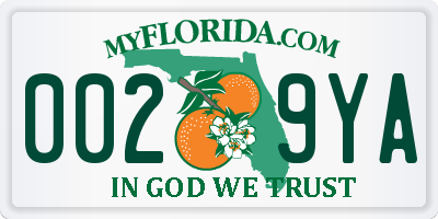 FL license plate 0029YA