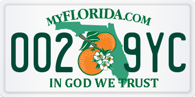 FL license plate 0029YC