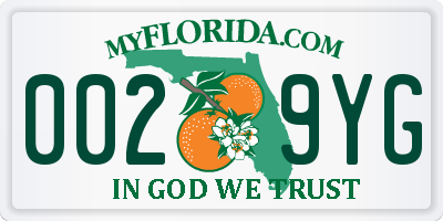 FL license plate 0029YG