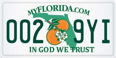 FL license plate 0029YI