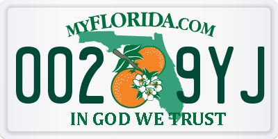 FL license plate 0029YJ