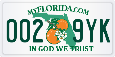 FL license plate 0029YK