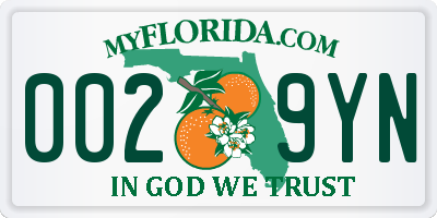 FL license plate 0029YN