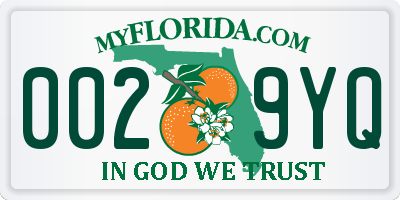 FL license plate 0029YQ