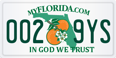 FL license plate 0029YS