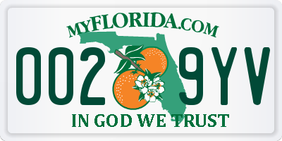 FL license plate 0029YV