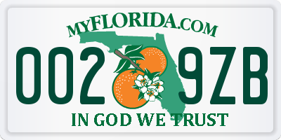 FL license plate 0029ZB