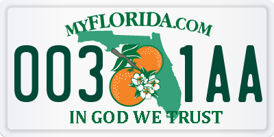 FL license plate 0031AA