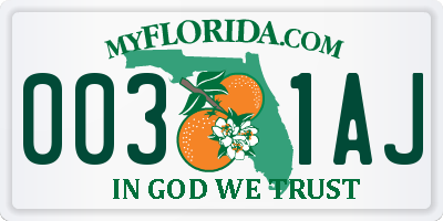 FL license plate 0031AJ