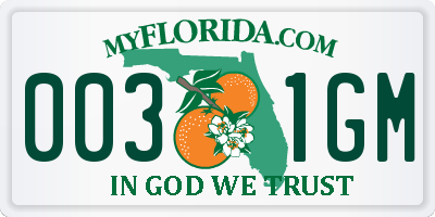 FL license plate 0031GM