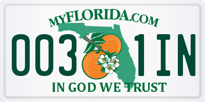 FL license plate 0031IN