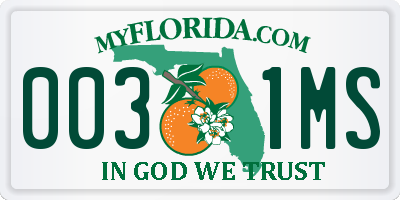 FL license plate 0031MS