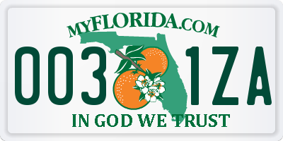 FL license plate 0031ZA